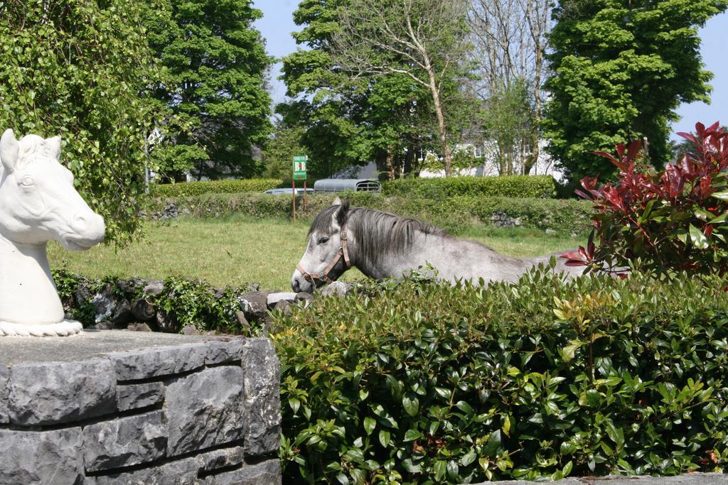 Carrowntober House B & B Oughterard Eksteriør bilde