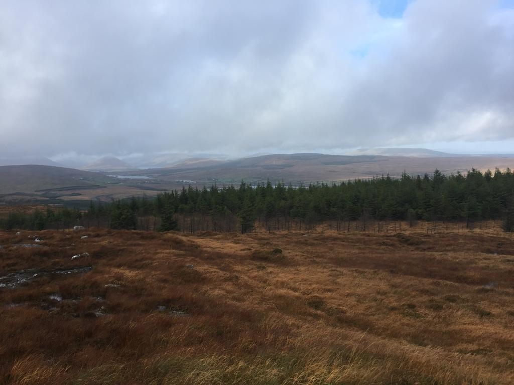 Carrowntober House B & B Oughterard Eksteriør bilde